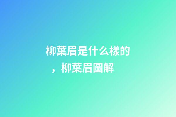柳葉眉是什么樣的，柳葉眉圖解